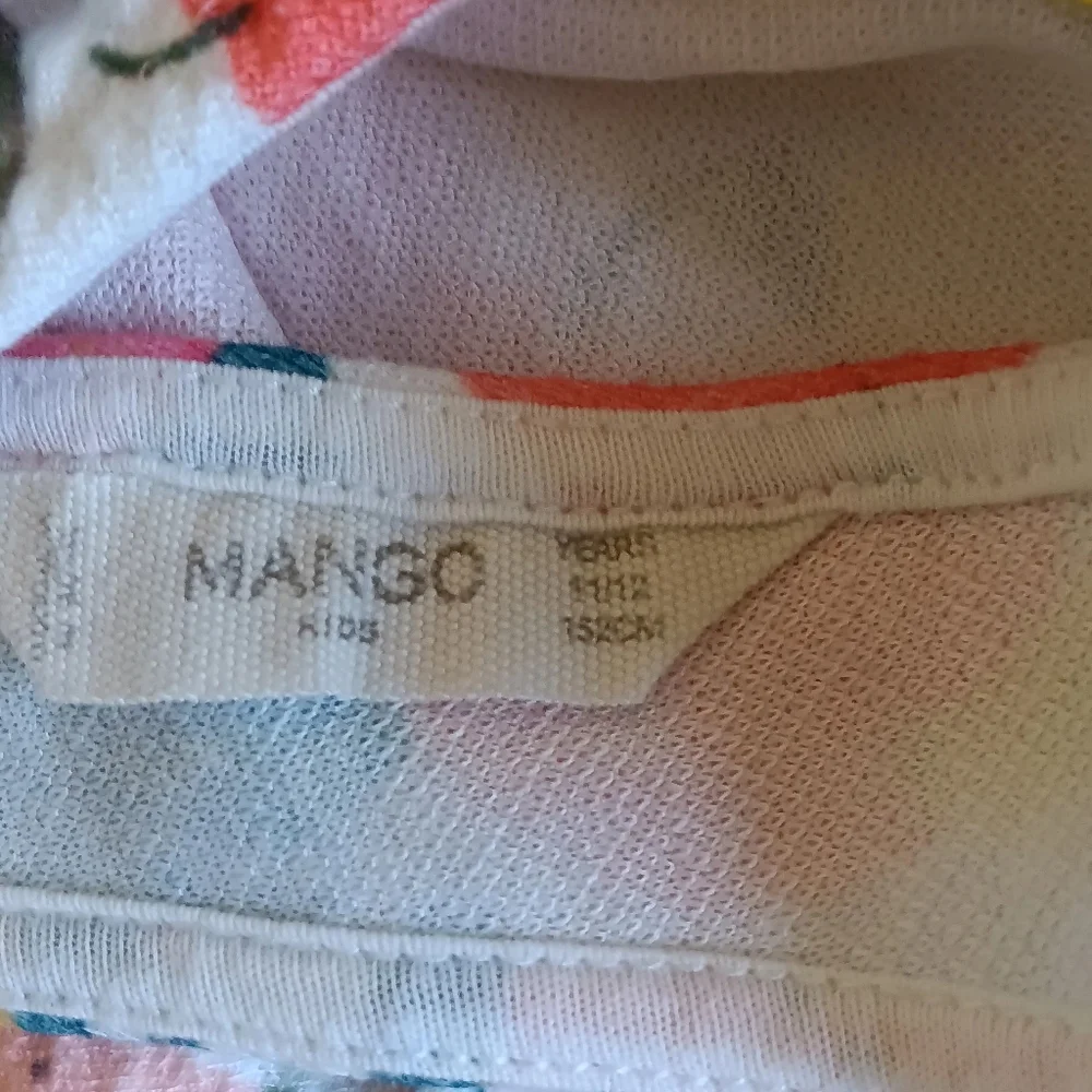 Mango fruit theme